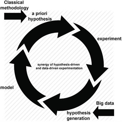 From Big Data to Precision Medicine